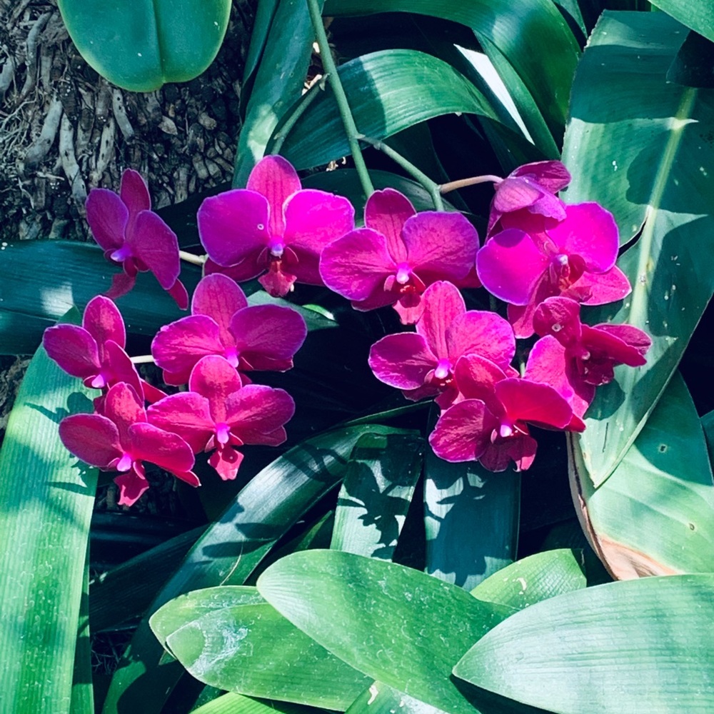 Meet your Posher, Natalie r